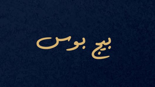 مسلسل بيج بوس الحلقة 1